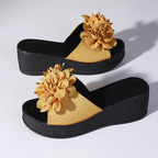 Penelope Platform Slides
