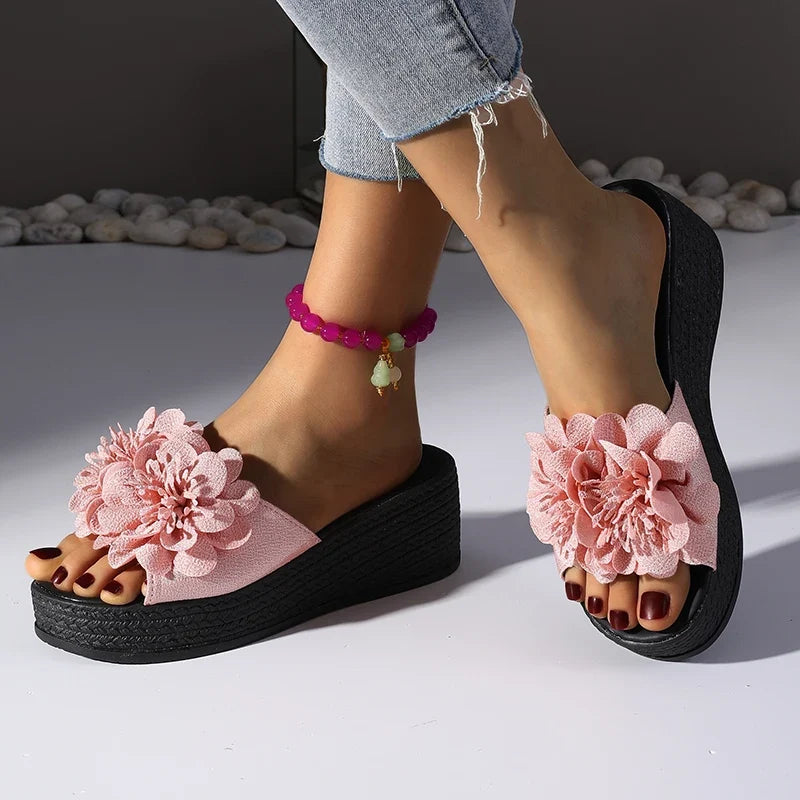 Penelope Platform Slides