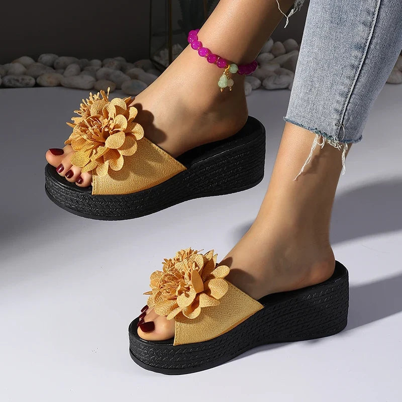 Penelope Platform Slides