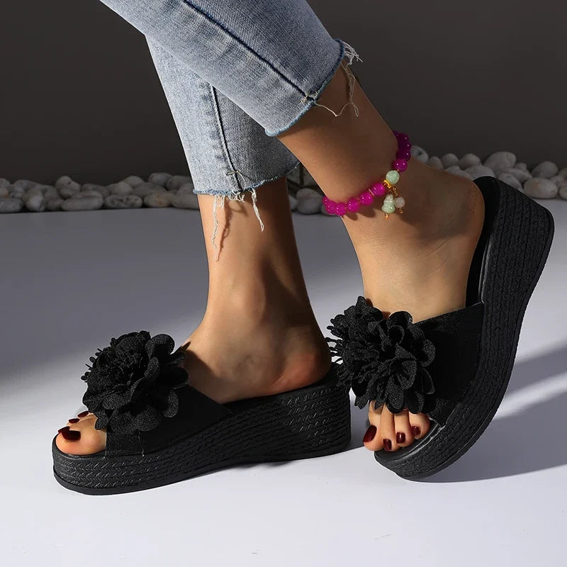Penelope Platform Slides