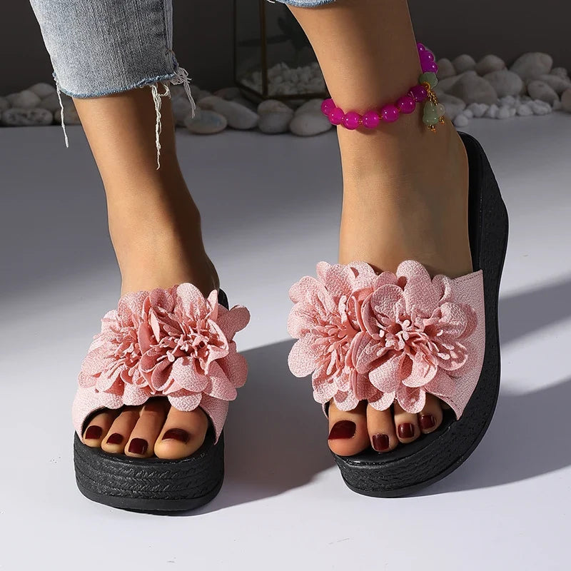 Penelope Platform Slides