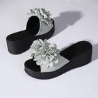 Penelope Platform Slides