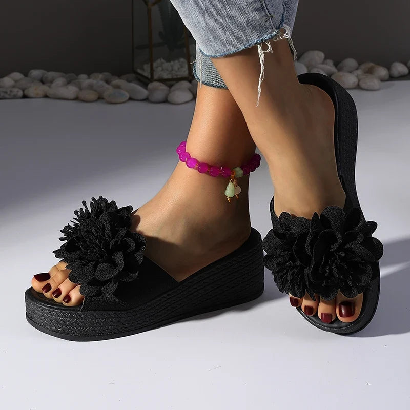 Penelope Platform Slides
