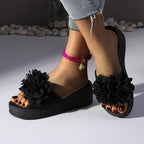 Penelope Platform Slides