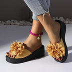 Penelope Platform Slides