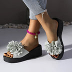 Penelope Platform Slides